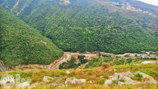 Land | Eddeh| hill facing sea and mountain| أرض للبيع | اده |PLS24801