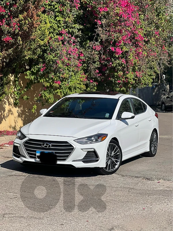 Hyundai Elantra 2018 Sport with 50,000 original miles.