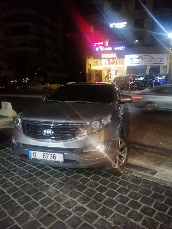 plate number