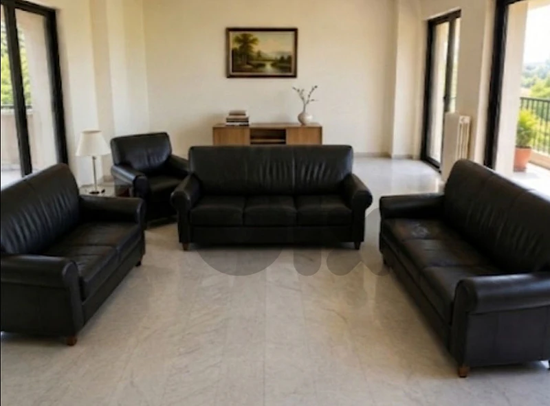 salon black leather