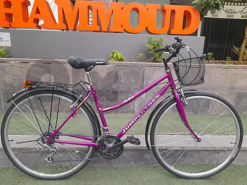 home bike