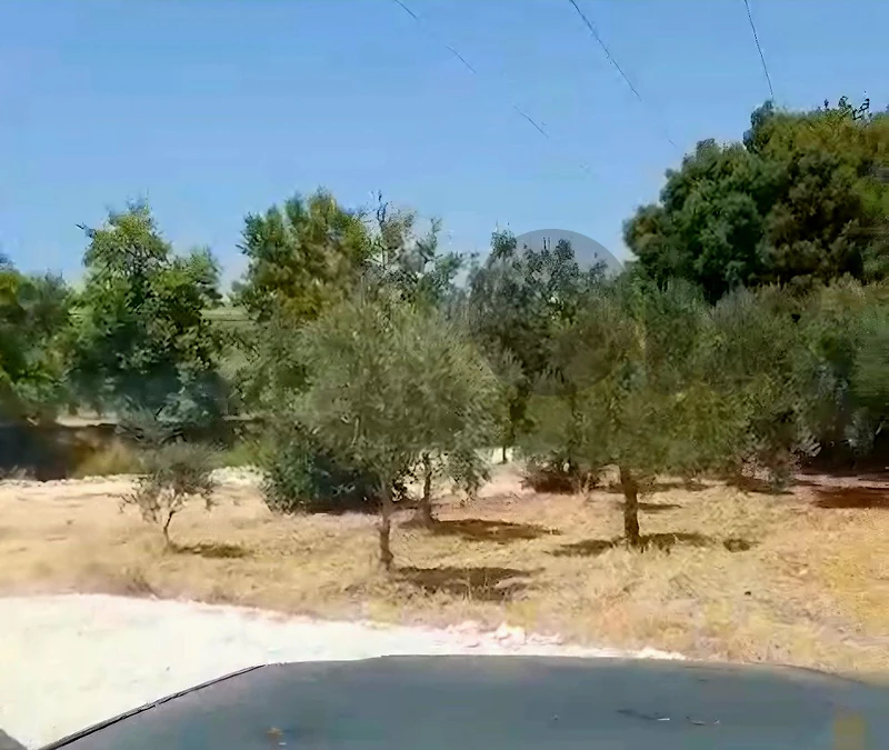 land for sale in BZIZA ارض"لقطة" للبيع في بزيزا