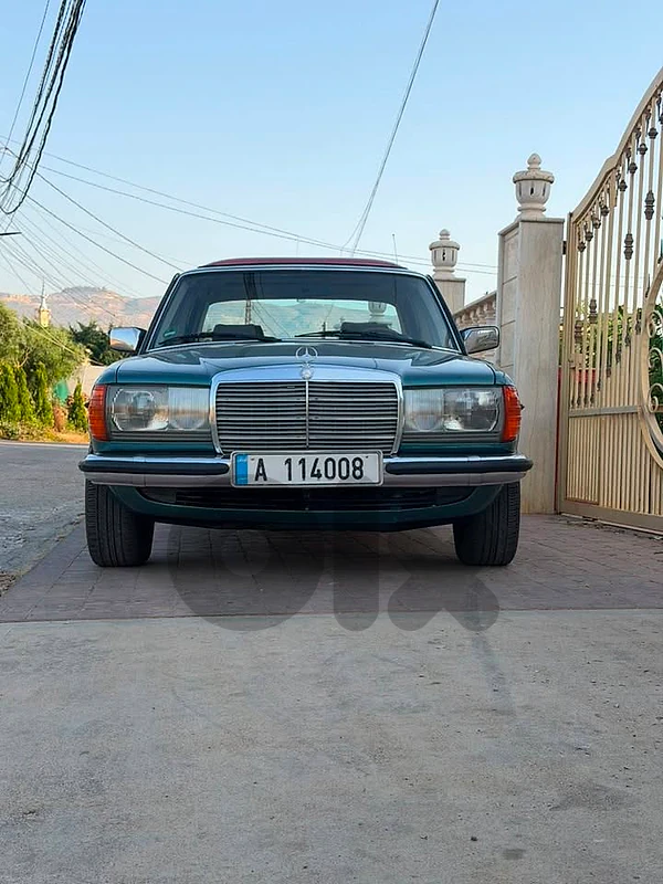 Mercedes Benz 1980