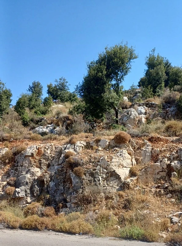 land for sale in Douma"لقطة" للببع في دوما