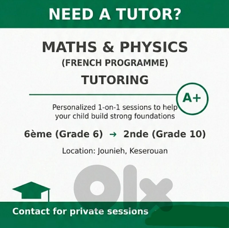 Maths + Physics (french) teacher