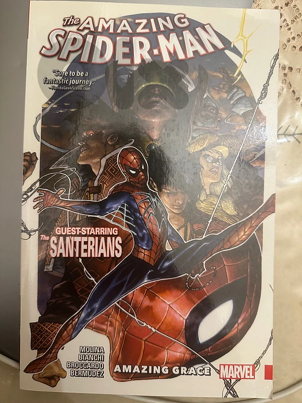 Spiderman amazing grace comic book