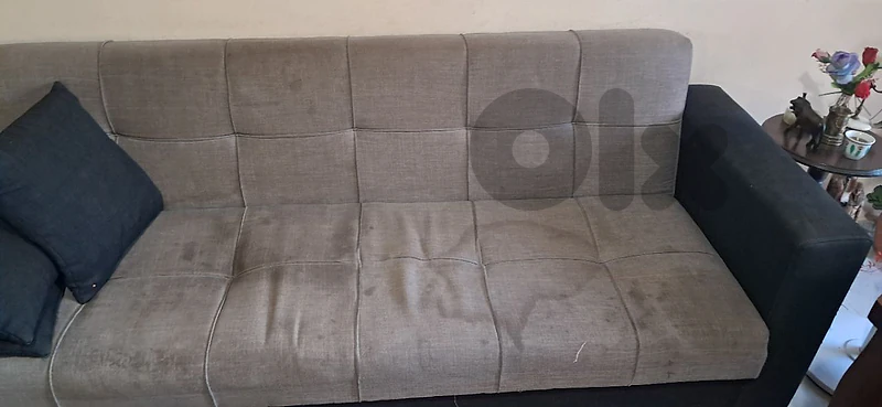 salon + sofabed