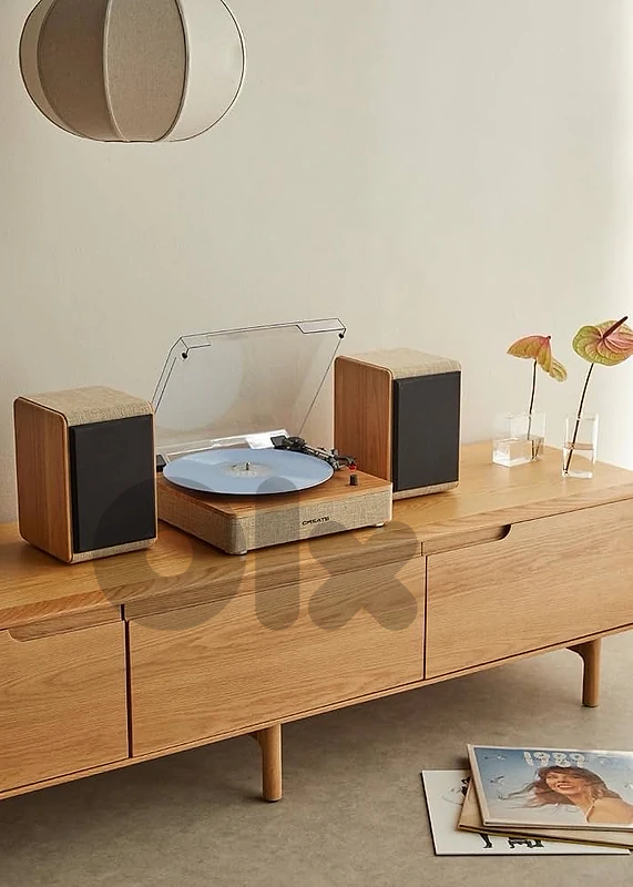 Vinyl Record Player