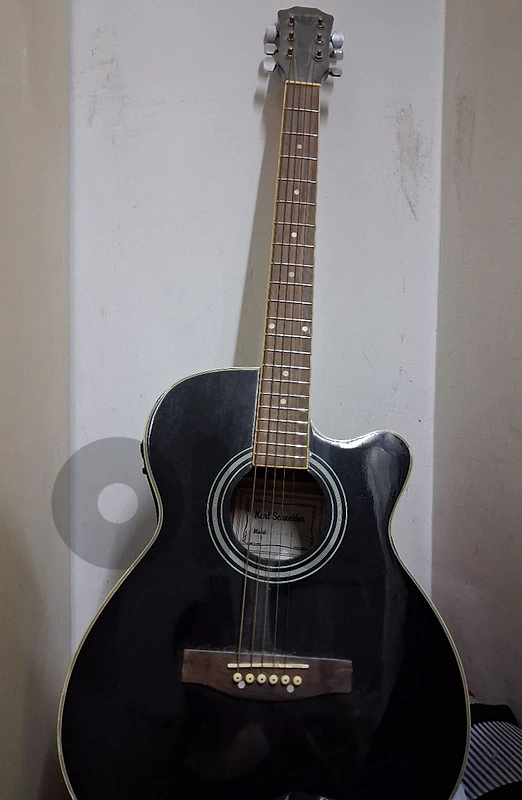 steel-string acoustic guitar