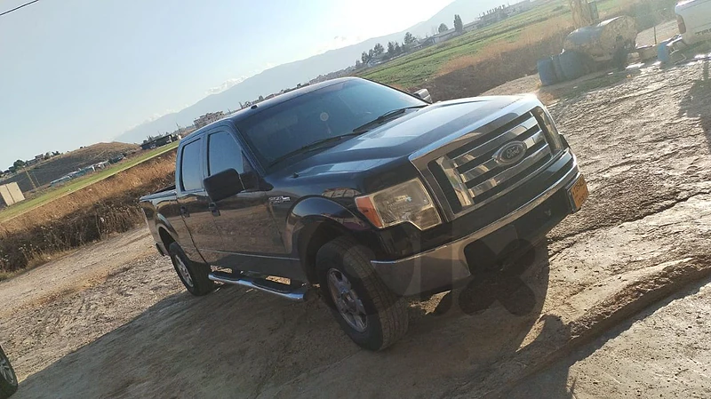 Ford F150/Raptor 2010 F150