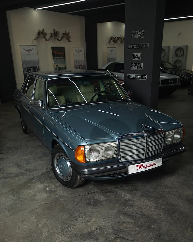 Mercedes-Benz  1977 230