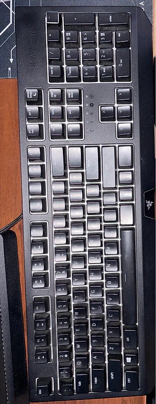 Razer Gaming Keyboard
