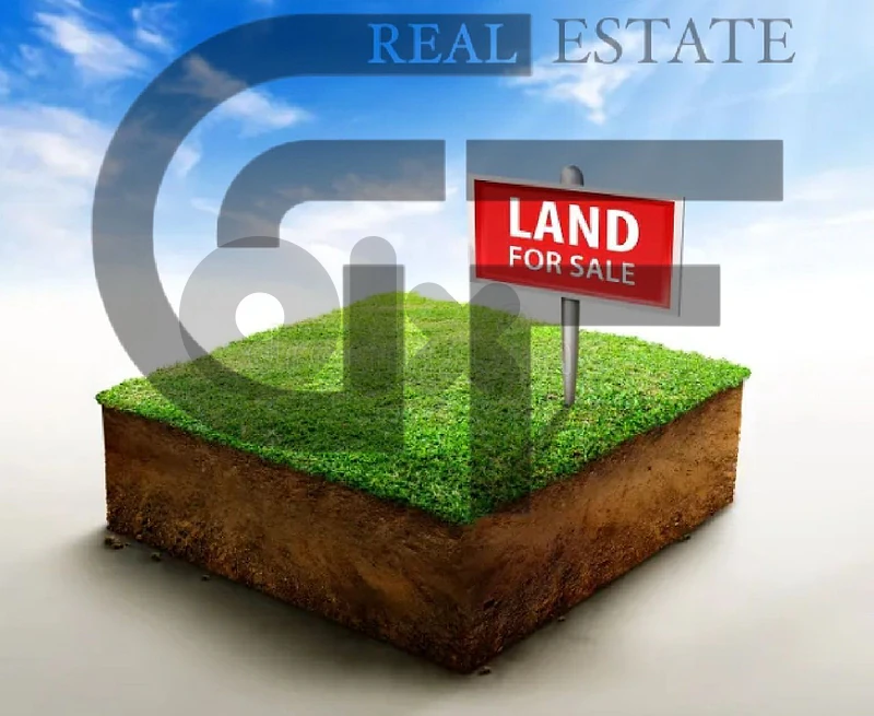 Land For Sale Monteverde