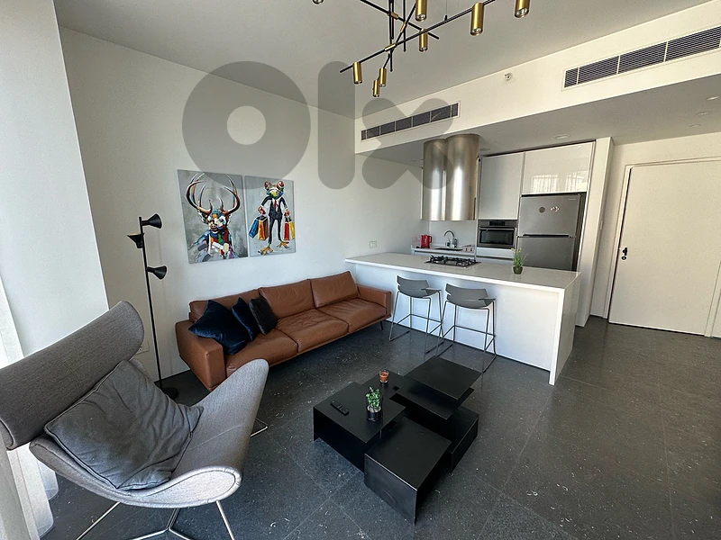 Luxurious Apartment For Rent In Saifi Luxurious Apartment For Rent In Saifi