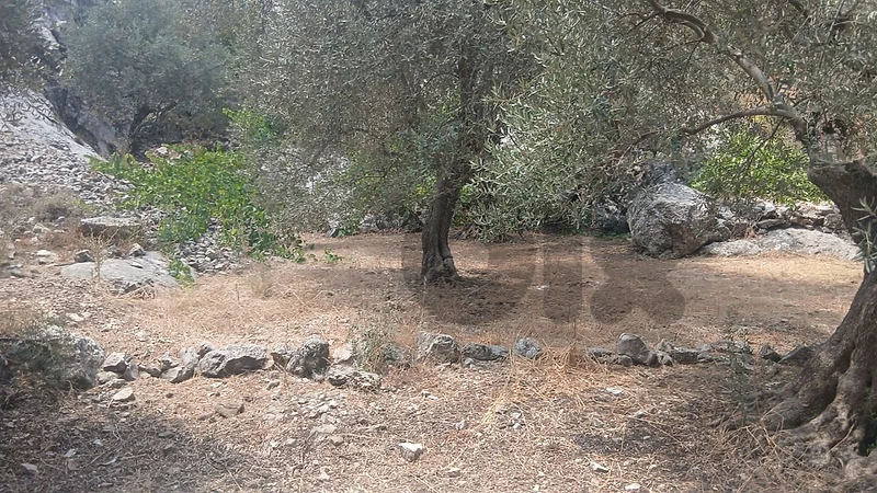 land for sale in Bchaaleh  أرض جميلة للبيع في بشعلة