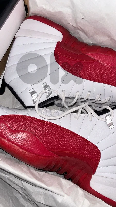 Nike air Jordan 12 “Cherry” OG ALL