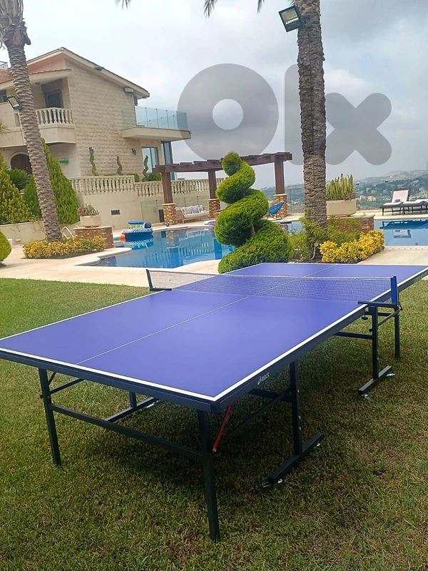expert roller ■ 250$ ■(indoor table tennis)