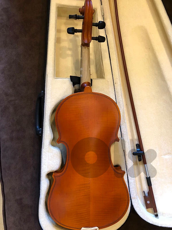 Violin - Perfect condition