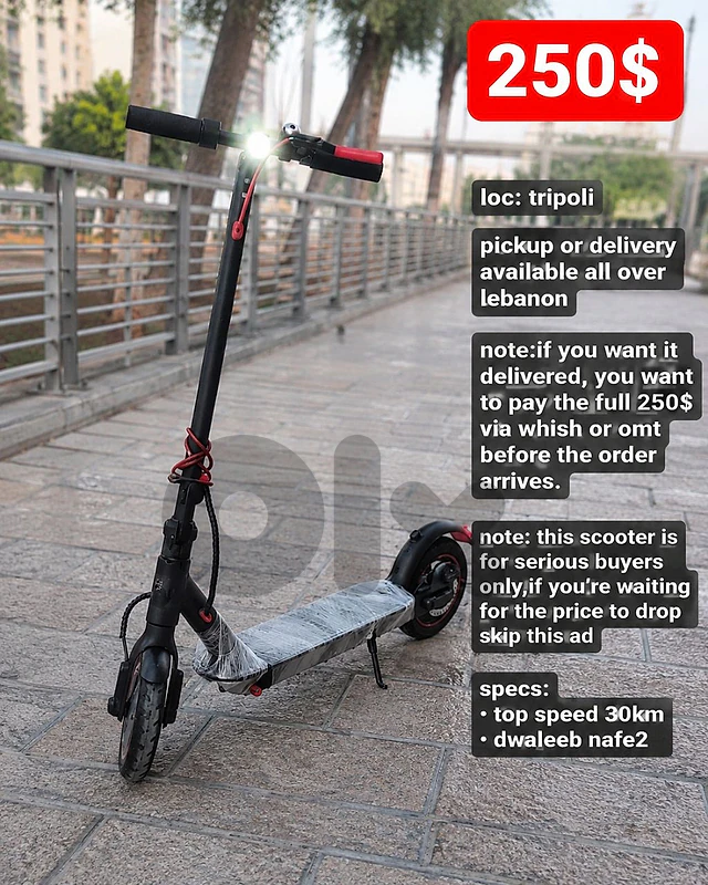 electric scooter