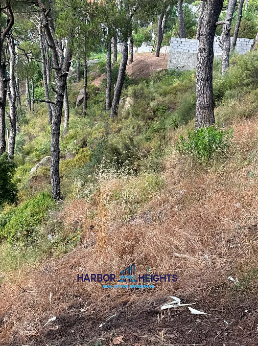 Land for Sale in Khenchara - أرض للبيع في الخنشارة