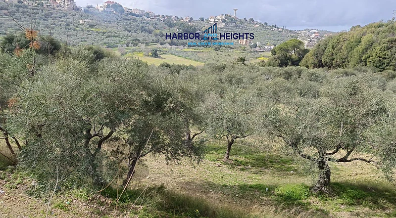 Land for Sale in Kfifane - أرض للبيع في كفيفان