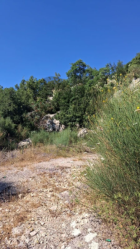 Panoramic Hilltop |1,205 m²| Jouret el termos