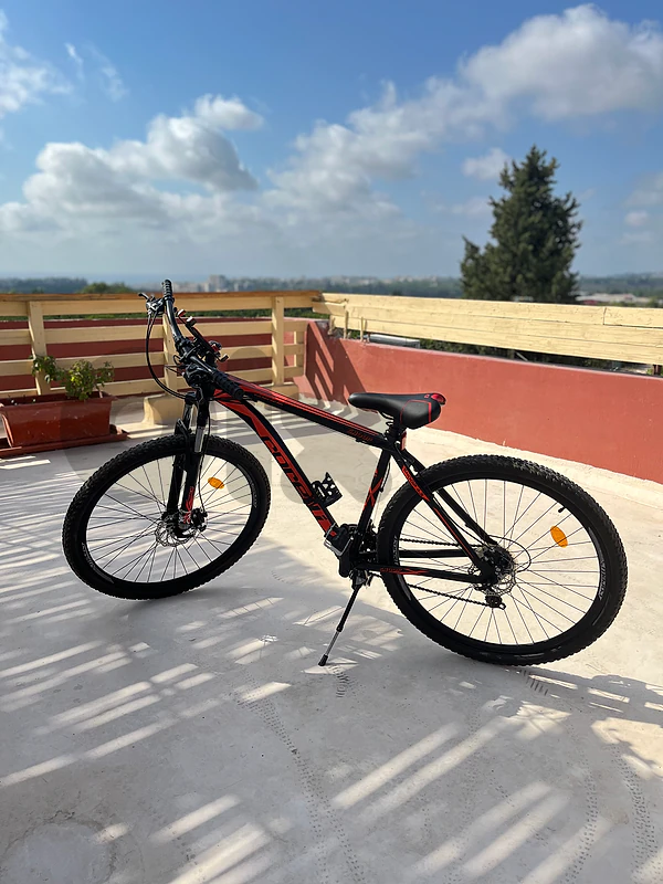 correli bicycle 29 inch