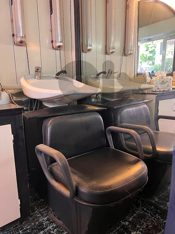 Vintage Professional Hair-Washing Station