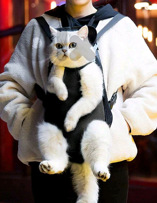 cat carrier