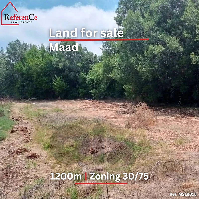 land in Maad for sale ارض في معاد