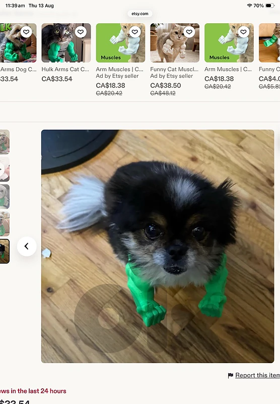 funny hulk muscles for small breeds