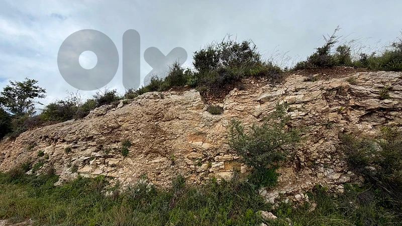 RWB168MK - Land for sale in Halat Jbeil