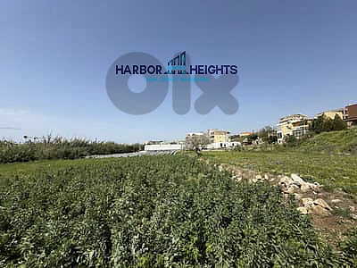 Land for Sale in Safra - أرض للبيع في الصفرا