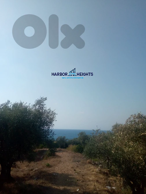 Land for Sale in Anfeh - أرض للبيع في أنفة