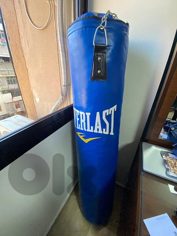 Everlast punching bag