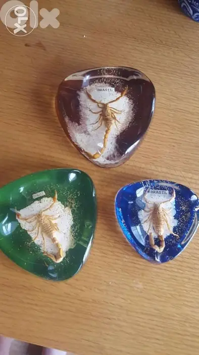 Souvenir from brazil