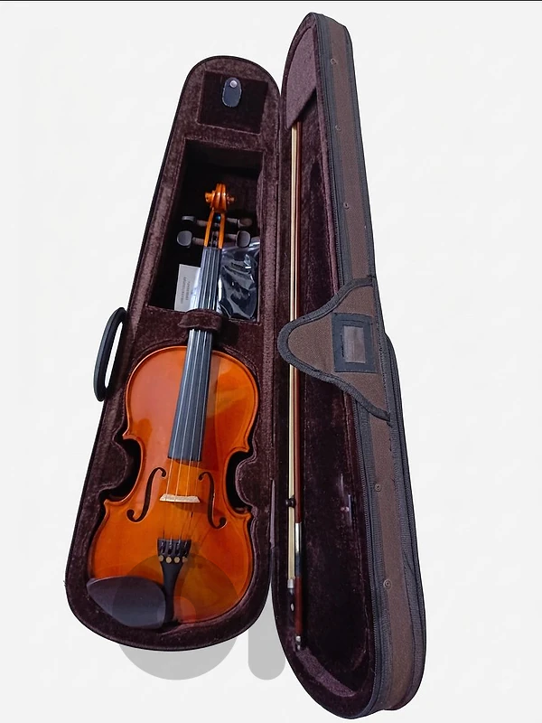 violin