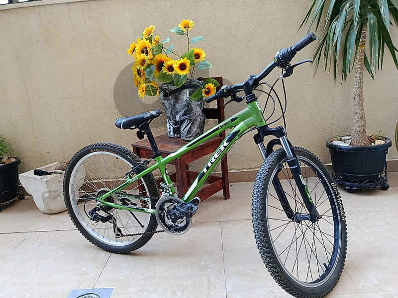 trek bicycle