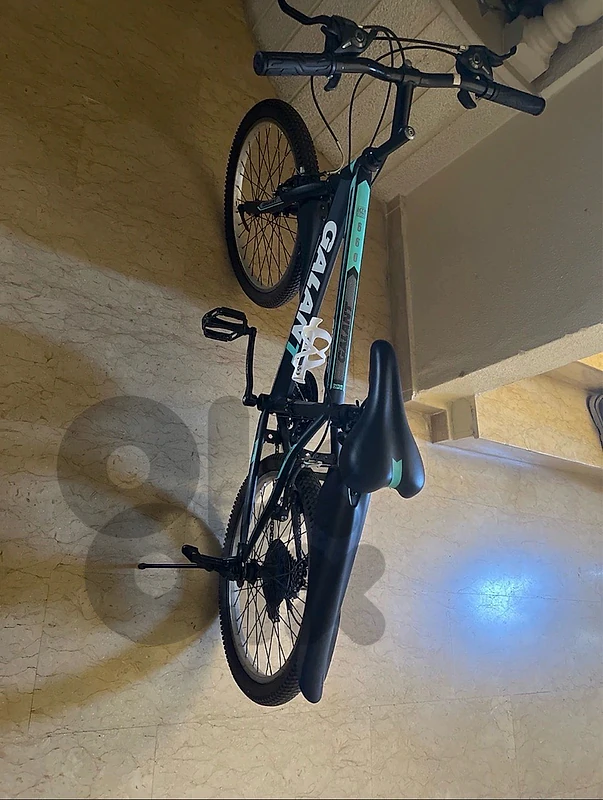 bicycle for sale