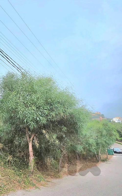 Land for Sale – Adma & Dafna