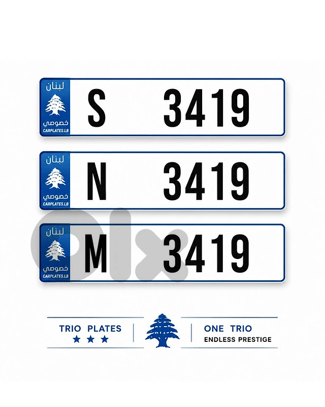 3 4 1 9 M S N
