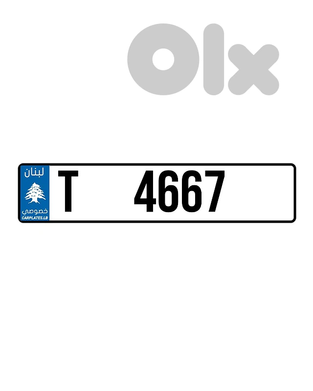 T 4667