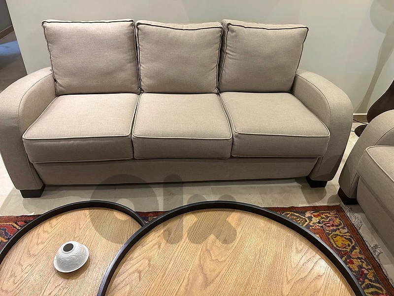 Living Room Sofas