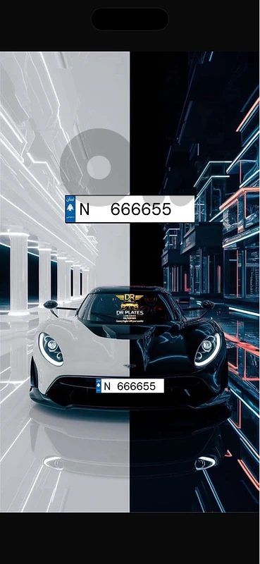 رقم سيارة مميزN 666655
