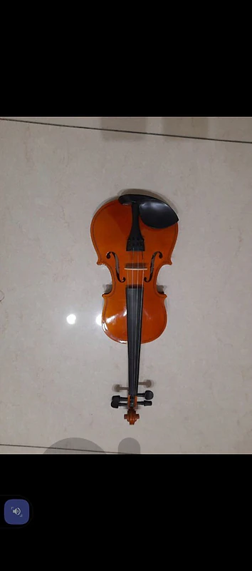 beginner violin