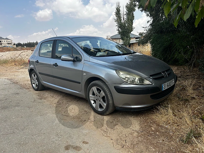 Peugeot 307 2005 307