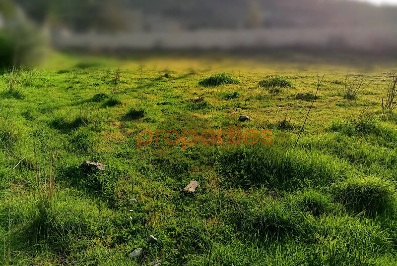 Prime Location Flat Land For Sale In Batroun  أرض للبيع البترونCPJGN86
