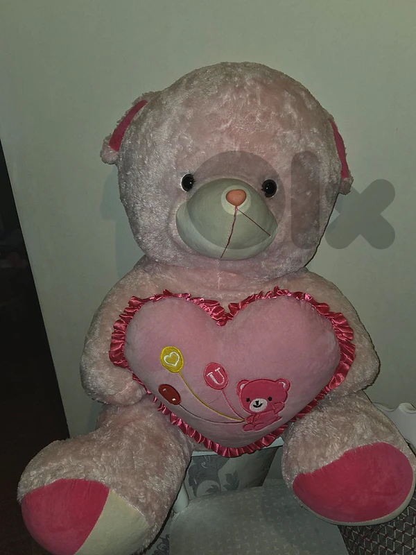 Big Teddy bear pinkish