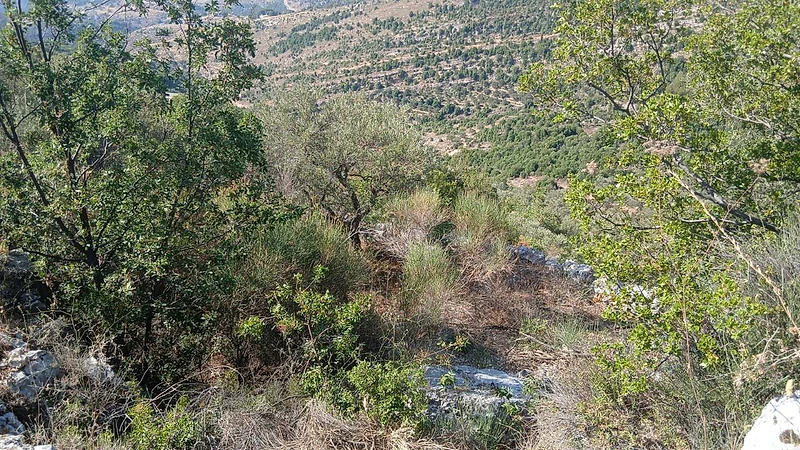 land for sale in Hadtoun أرض للبيع في  حدتون