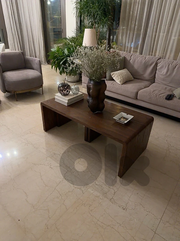 coffee table / center table